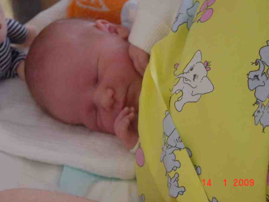 Emil 1